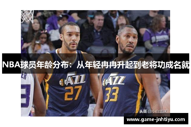 NBA球员年龄分布：从年轻冉冉升起到老将功成名就